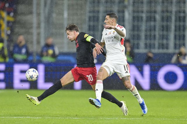 Primeiro reforço do Benfica para 2025/26 já estará em Portugal