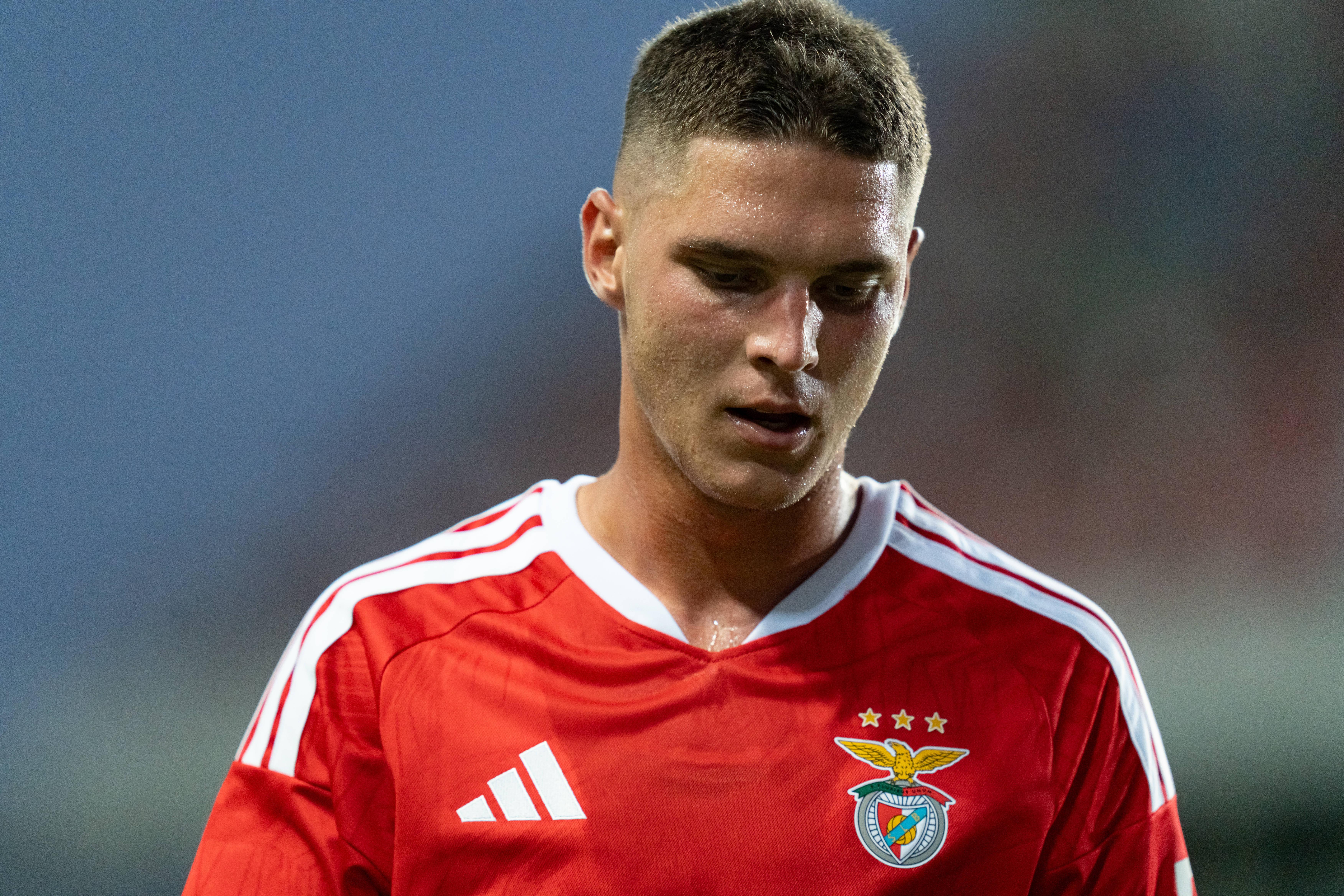 Sudakov, médio-ofensivo do Benfica (foto: Imago)