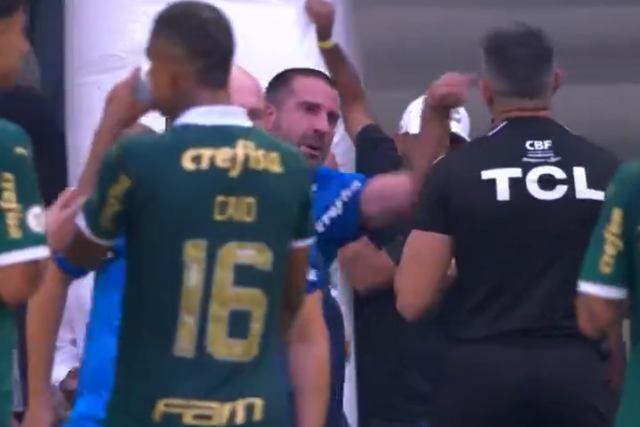 VÍDEO: adjunto de Abel é expulso e parte para cima do árbitro