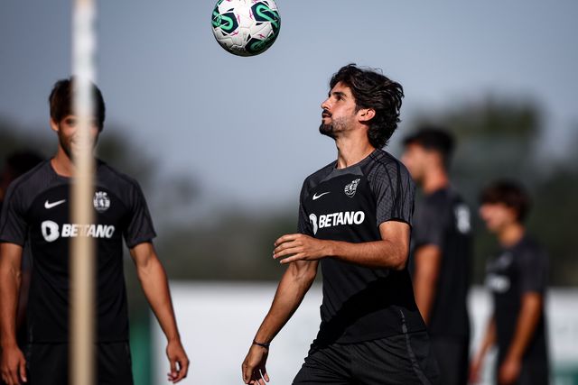 Este leão não pára