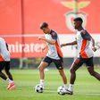 Benfica treina sem surpresas antes da partida para Belgrado