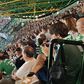 A reação dos adeptos do Sporting ao penálti falhado por Hjulmand (vídeo)
