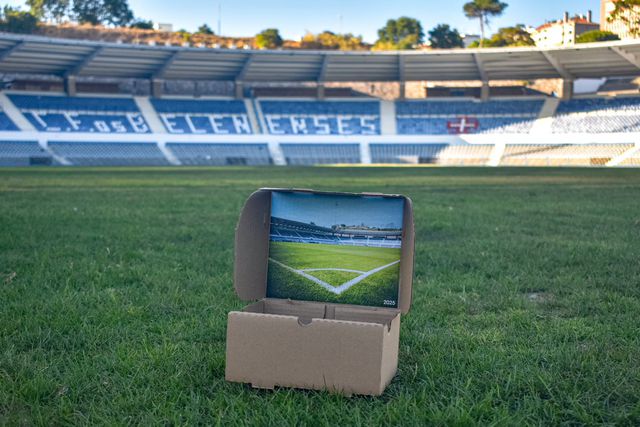 Belenenses põe relvado do Restelo à venda por... 20 euros