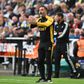 Oficial: Wolverhampton renova com Vítor Pereira