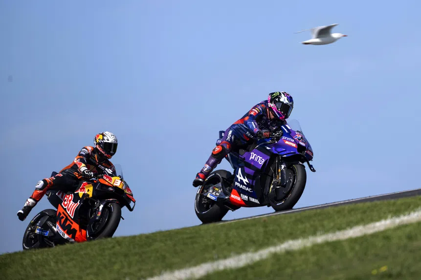 Gaivota voadora ataca Bezzecchi no GP!