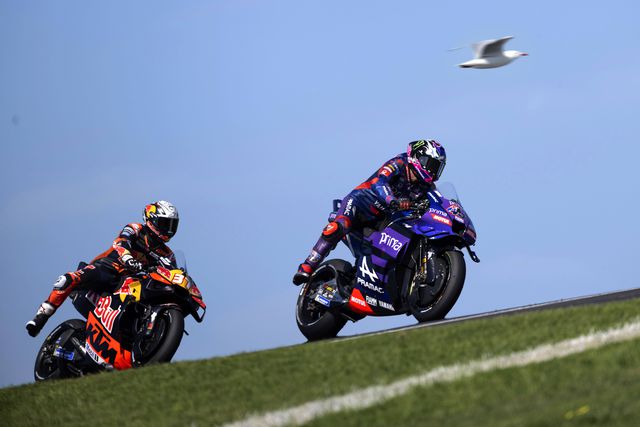 GP da Austrália é um zoo a céu aberto e Bezzecchi foi atingido por uma gaivota