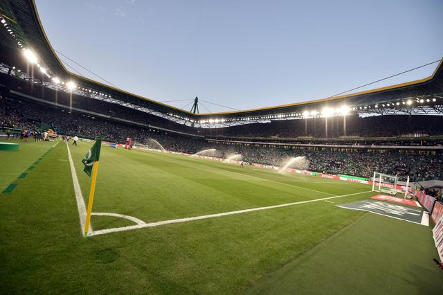 Atacado por fungo, relvado de Alvalade foi tratado e a empreitada já está concluída - Foto: MIGUEL NUNES