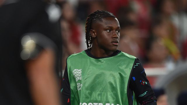 «Quenda foi fazer turismo à Croácia»