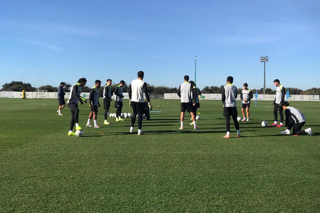 Treino do Sporting em Alcochete - Foto A BOLA
