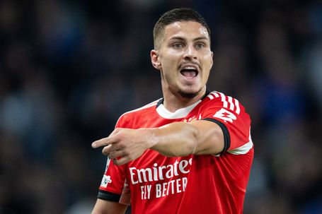 Franjo Ivanovic, avançado do Benfica