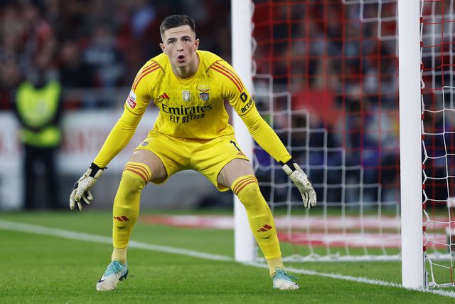 Trubin é o mais eficaz das principais Ligas