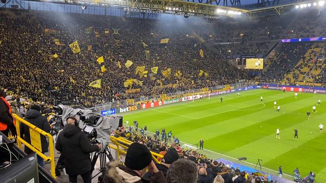Arrepiante! Ainda é só o aquecimento, mas já dá para antever o ambiente que o Sporting vai ter