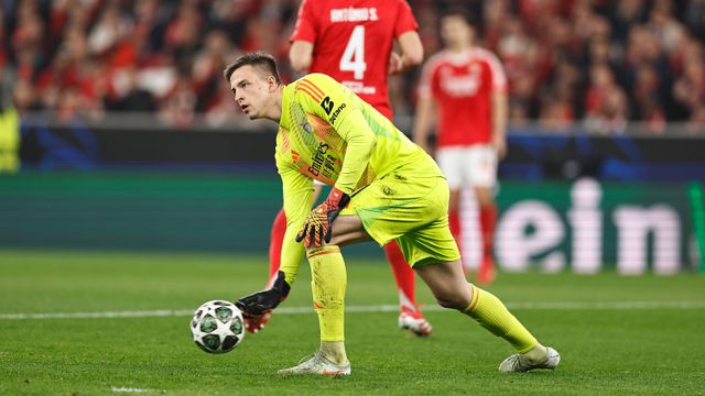 Trubin, guarda-redes do Benfica