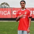 Paulo Souza - foto: SL Benfica