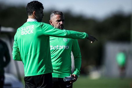 Luís Neto, adjunto de Rui Borges, foi punido pelo Conselho Disciplina da FPF - Foto: SPORTING CP