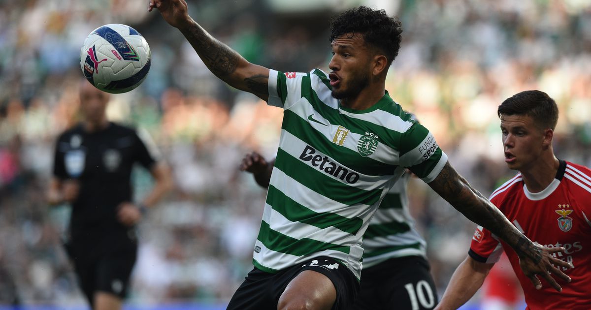 «Não gosto de falar, mas tenho de vir pedir desculpa por esta tristeza»