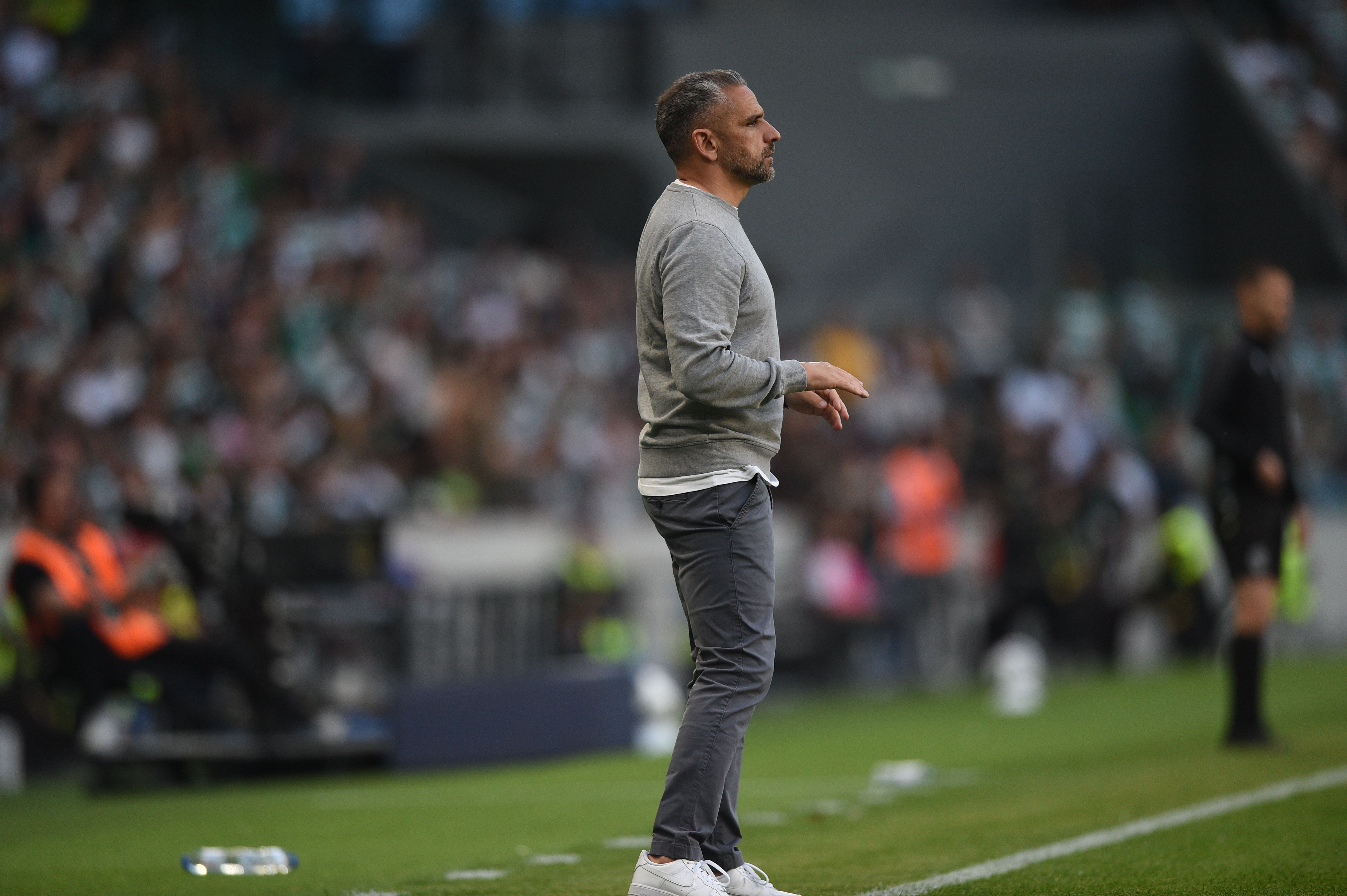 Rui Borges, treinador do Sporting -  Foto: Sérgio Miguel Santos