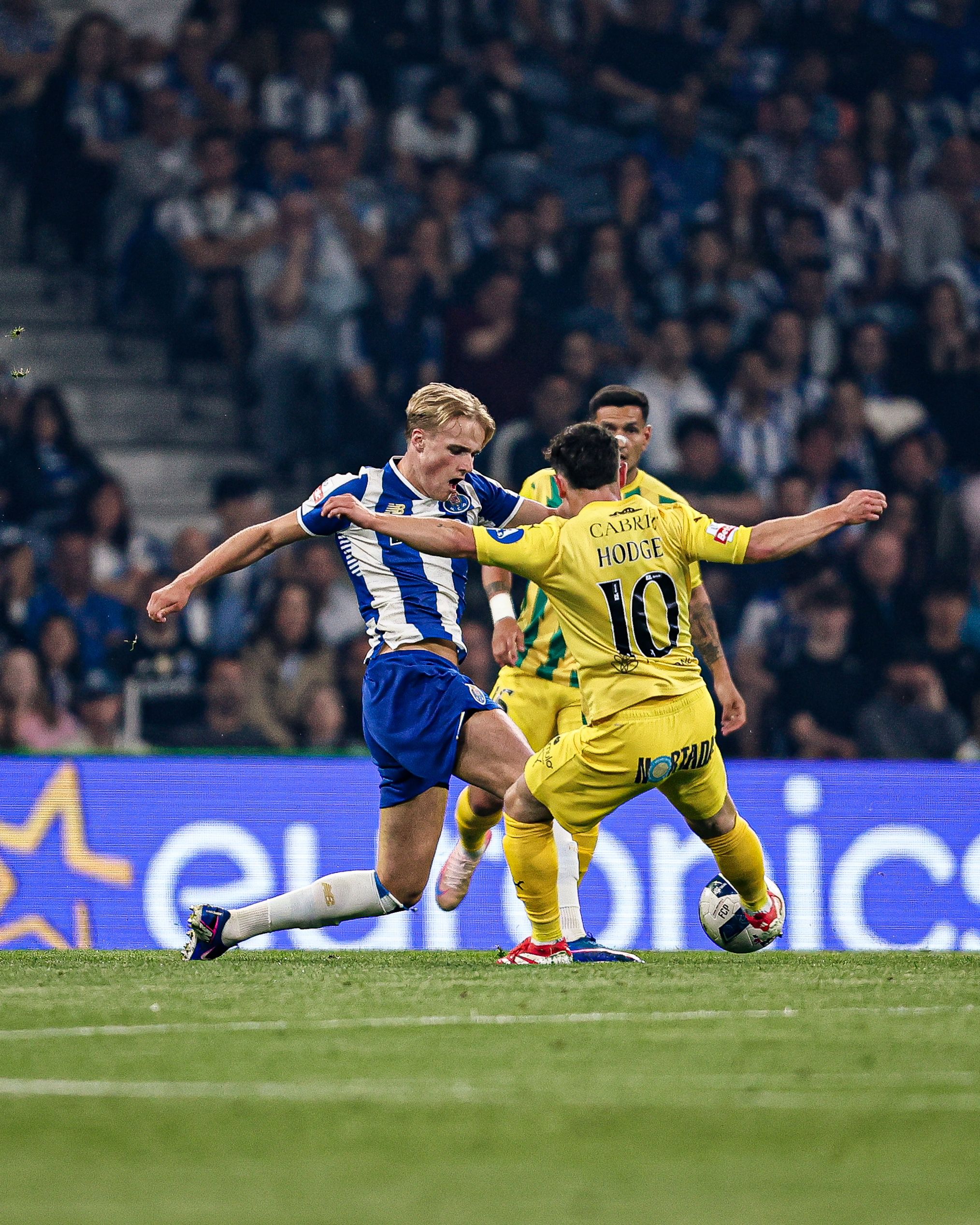 Momento do FC Porto-Tondela - Foto: LIGA PORTUGAL