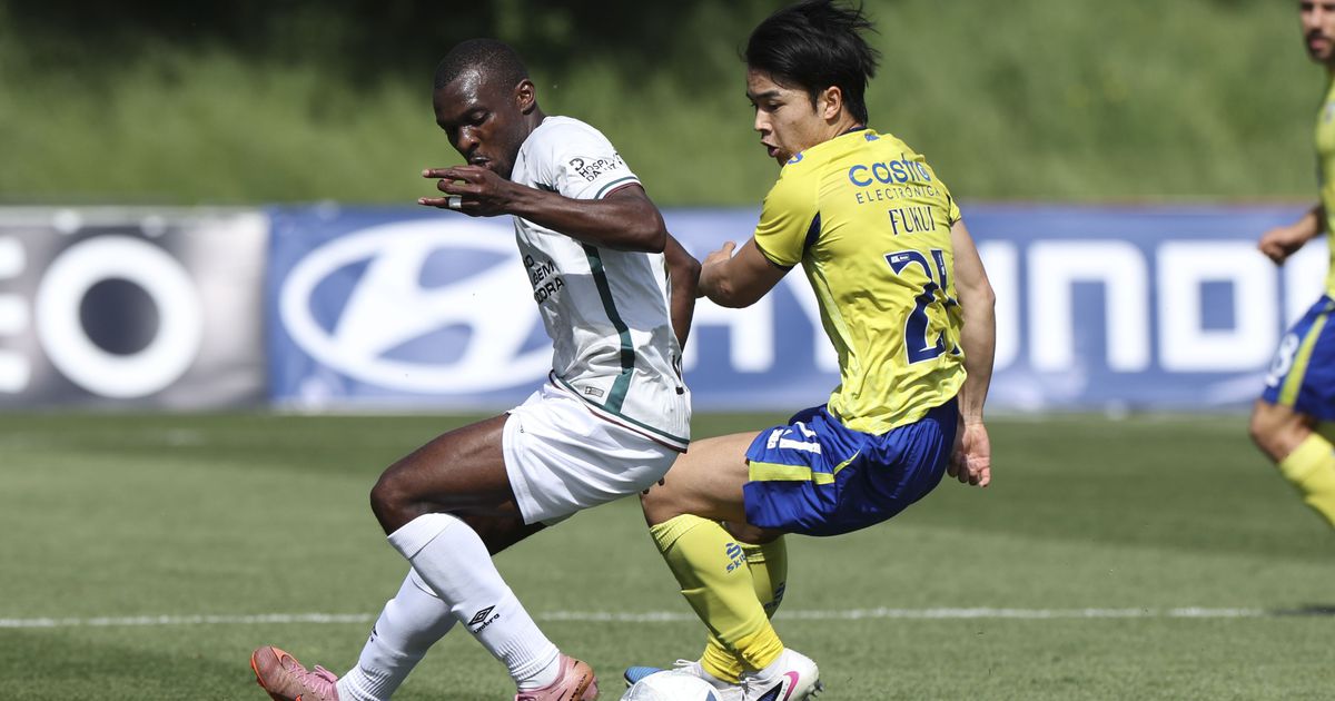 Lobos felizes, iluminados por Estrela… sem estrelinha (crónica)