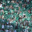 Adeptos do Sporting ansiosos pela nova temporda - Foto: Sérgio Miguel Santos