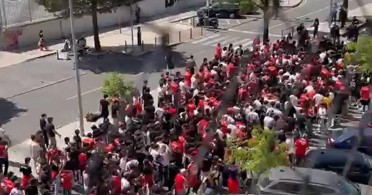 O cortejo dos adeptos do Benfica para Alvalade