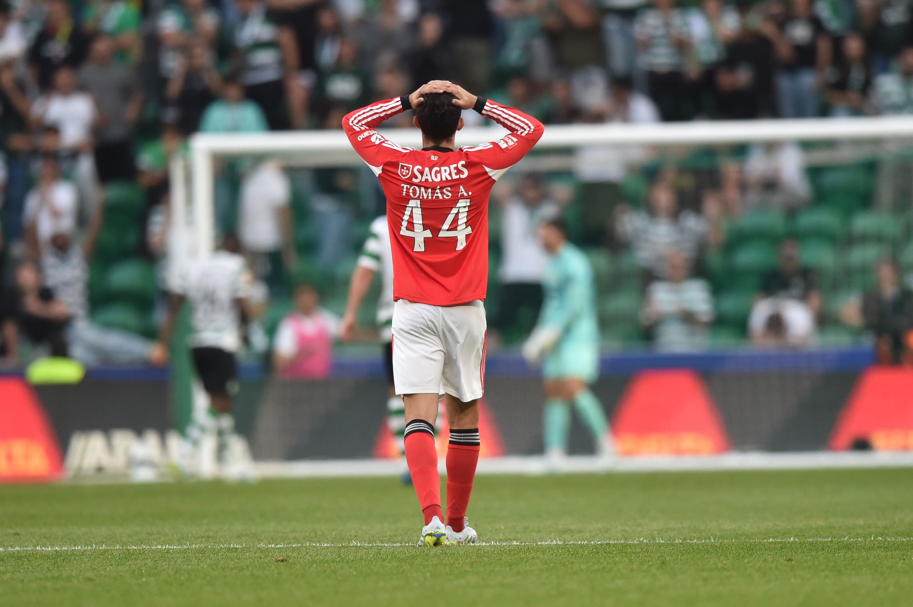 Tomás Araújo voltou a lesionar-se no dérbi frente ao Sporting - Foto: Miguel Nunes