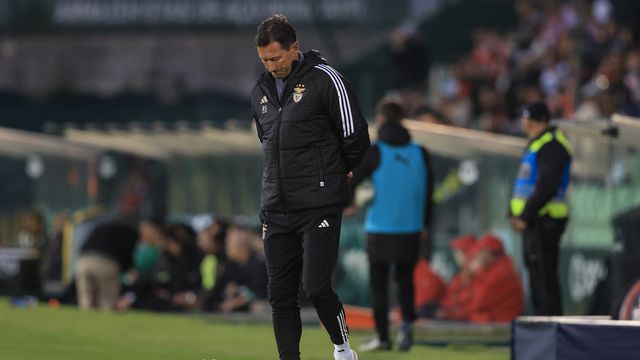 «Qual é o verdadeiro Roger Schmidt?»