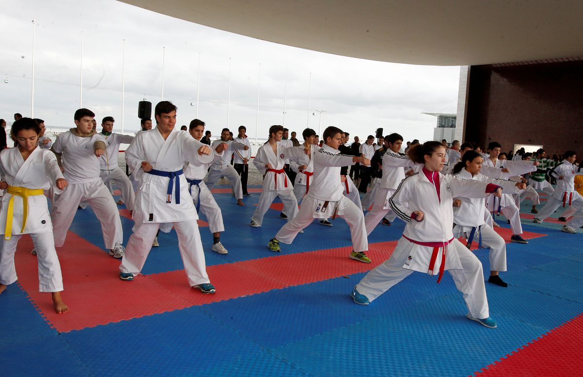 O karate no Portugal atual