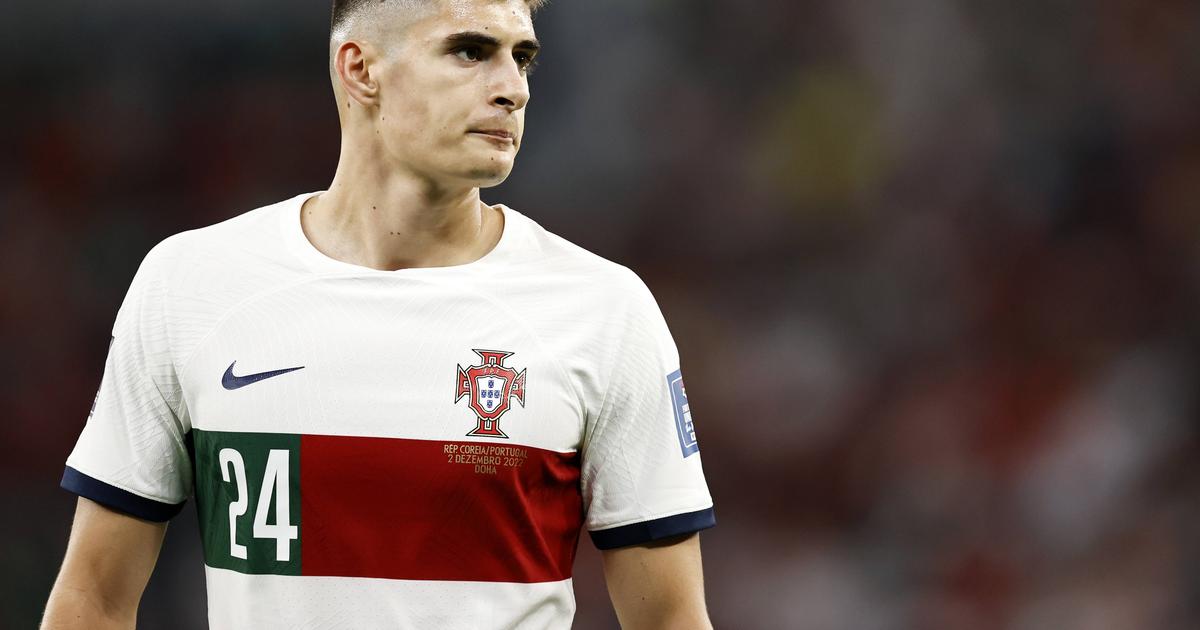 Benfica 'defende' António Silva após falhar convocatória para o Mundial
