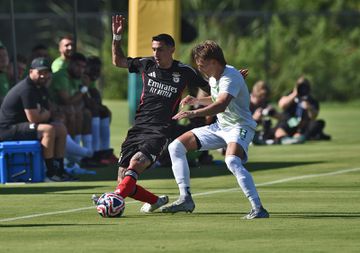 Mais um obstáculo para o Benfica
