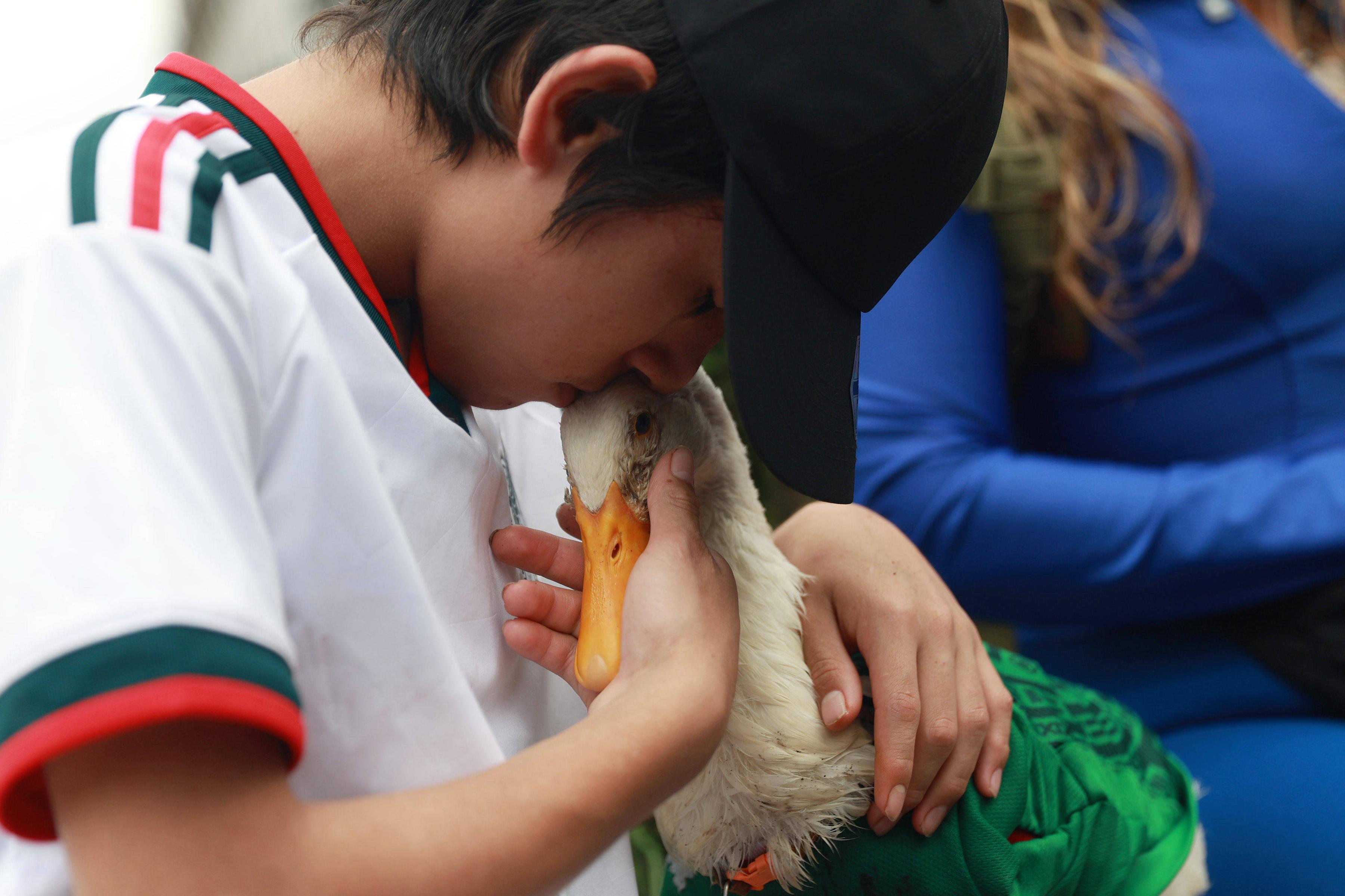 O pato Merlin, com a camisola da seleção do México, pertence a Karla Gomez e ao filho Christian, que não esperavam tal popularidade - foto: Imago