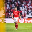 O Benfica volta a descer à terra
