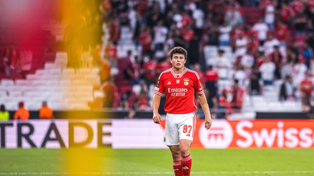«Se vier só Renato Sanches por João Neves é um risco muito grande»