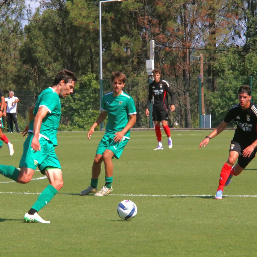Fase do Tondela-Benfica B (Facebook/CDTondela)