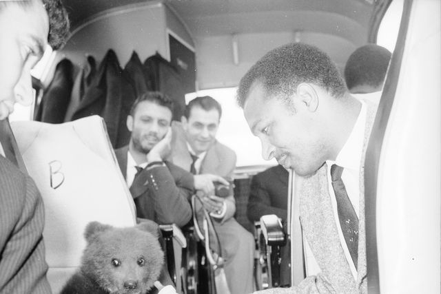 Mário Coluna, jogador do Benfica, dá biberão ao urso bebé que foi oferecido à equipa portuguesa por ocasião da final da Taca dos Campeoes Europeus conquistada frente ao Real Madrid (5-3), em Amesterdão. Foto datada de Maio de 1962. (Créditos A BOLA)