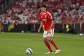 António Silva, defesa-central do Benfica (IMAGO)