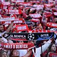Benfica: Luz transformada em inferno