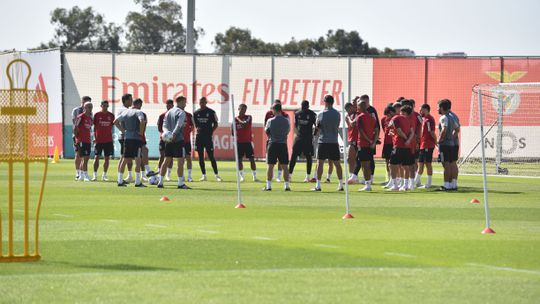 Veja aqui as fotos do treino do Benfica antes da estreia na Champions
