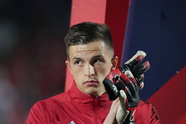 Roger Schmidt: «Trubin é o número 1»