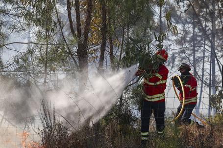 Bombeiros combatem incêndio - Foto: Filipe Amorim/LUSA