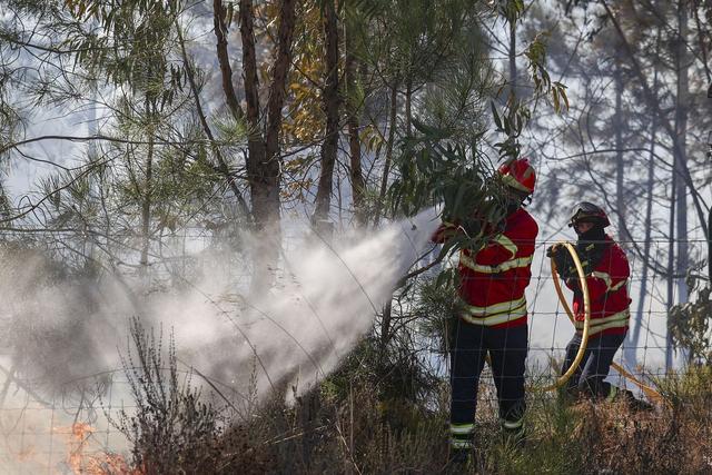 Bombeiros combatem incêndio - Foto: Filipe Amorim/LUSA