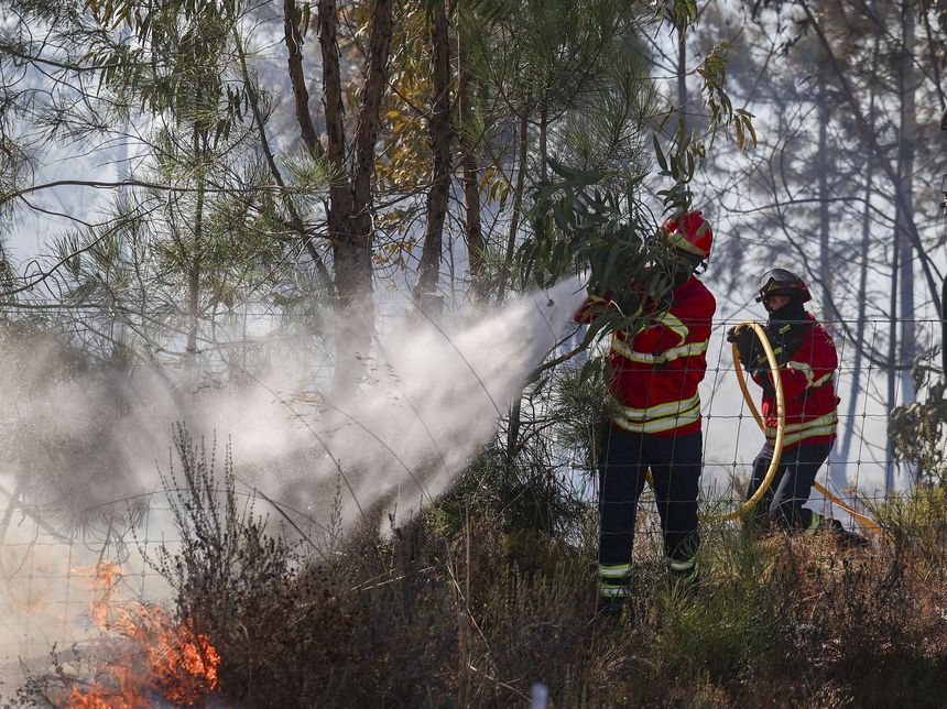 Bombeiros combatem incêndio - Foto: Filipe Amorim/LUSA