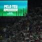 O Mundo Sabe Que no Sporting-Arouca - Foto: Sérgio Miguel Santos