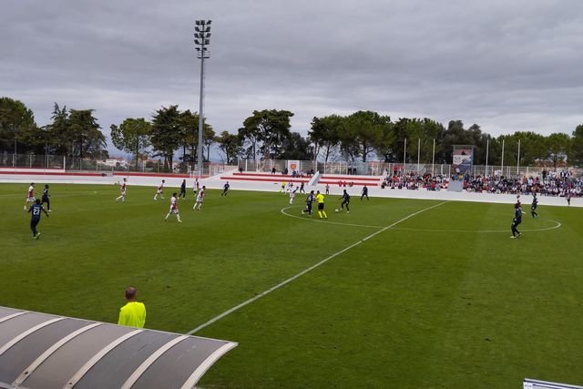 Cónegos dão cambalhota para confirmarem a teoria