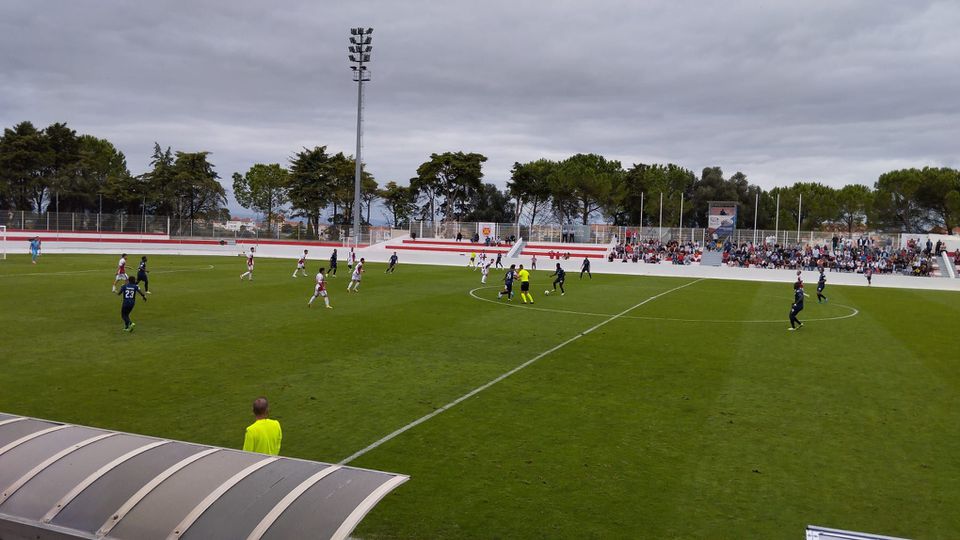 Cónegos dão cambalhota para confirmarem a teoria