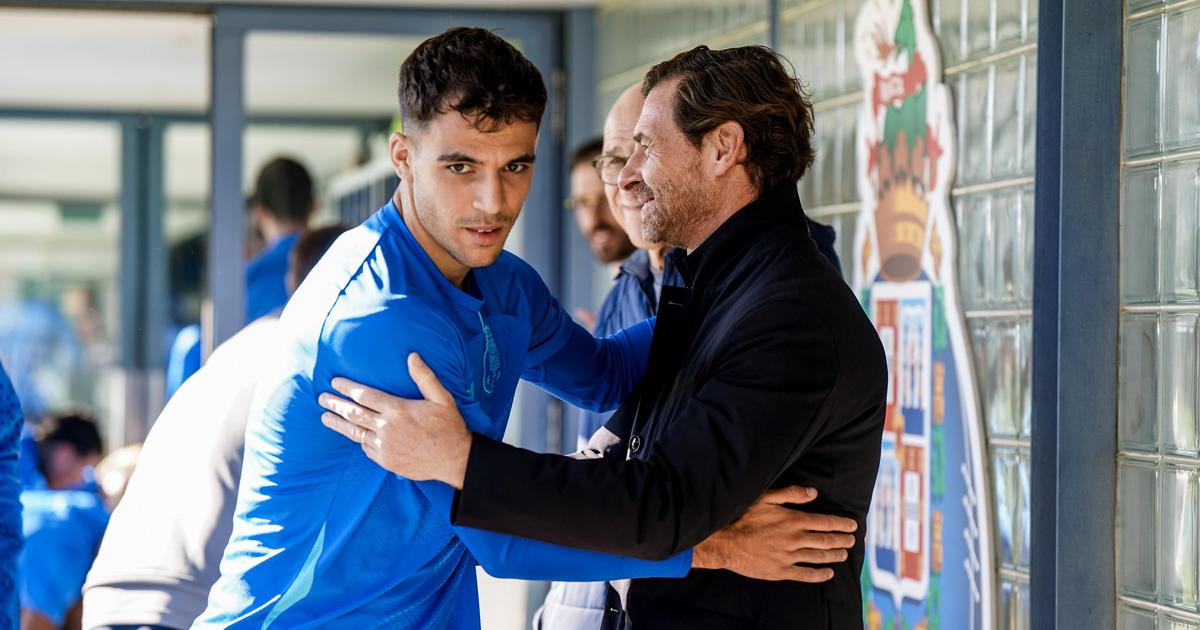 FC Porto: preparação para o PSV com duas baixas para Farioli | A Bola