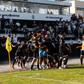 Festa rija da Sanjoanense após golo marcado ao Nacional - Foto: Sanjoanense