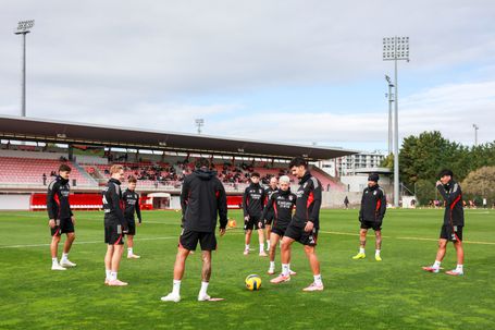 Treino do Benfica com espectadores muito atentos - Foto: SL Benfica