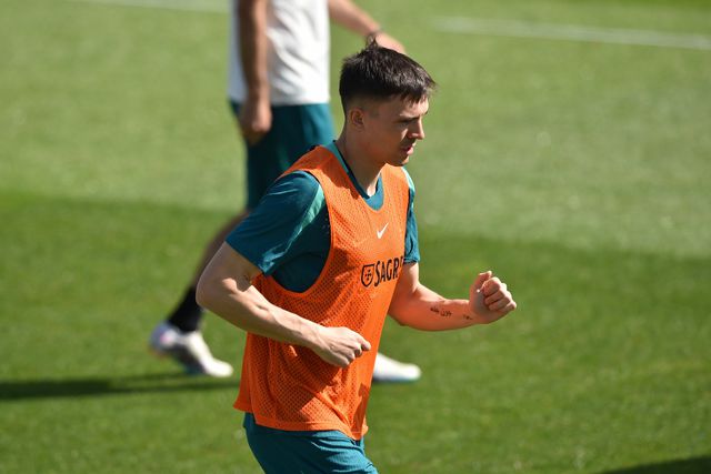 João Palhinha e a Suécia: «Gyokeres é jogador de topo, mas há outros»