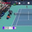 Gato interrompe partida no Miami Open